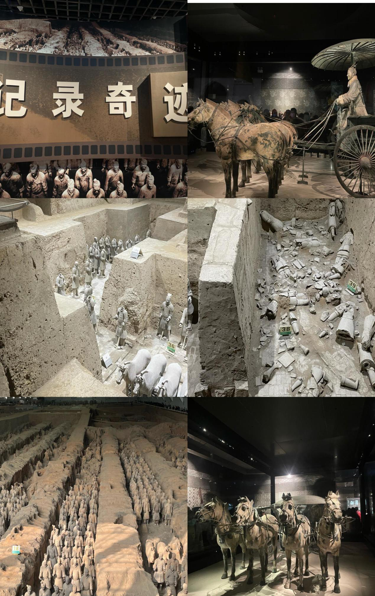 圖片5.png 圖片5.png